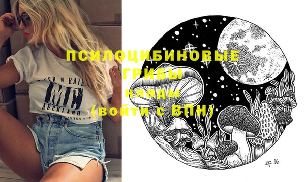 гидра Балахна