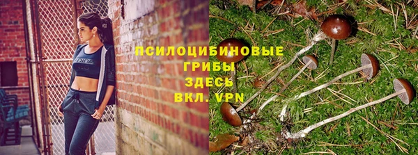 тгк Балабаново