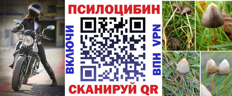 Галлюциногенные грибы GOLDEN TEACHER  Калининец 